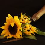 Sunflowers by Pat Svanberg