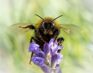 Take Off - Lesley Taylor