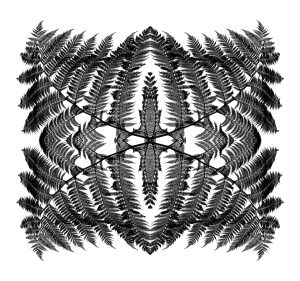 Paul Hendley - Replicated Fern Exploration