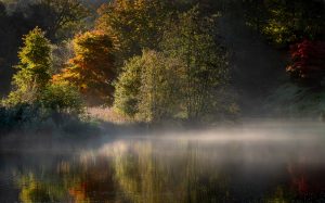 Autumn at Winkworth