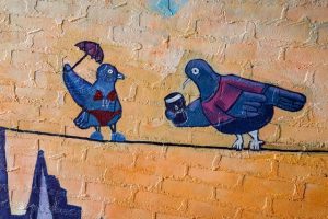 Pigeons at Waterloo Station