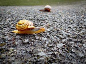 John DeTerville - Taking it Slow