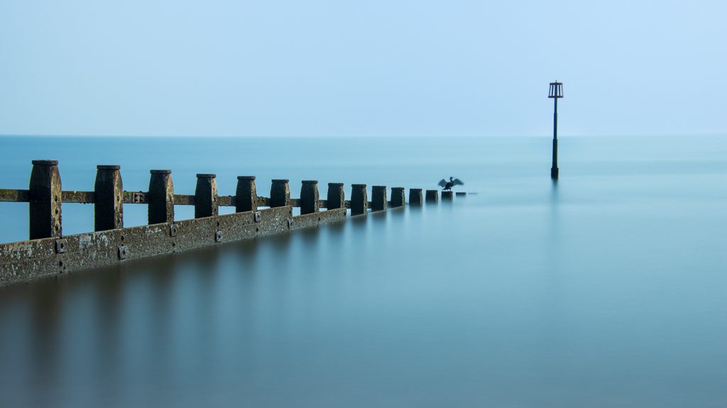Coastal Solitude