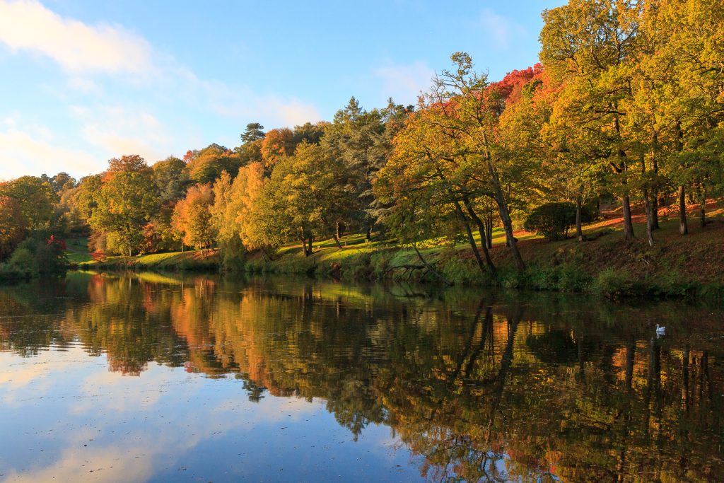 Neil Payne - The Bowl - Winkworth Arboretum