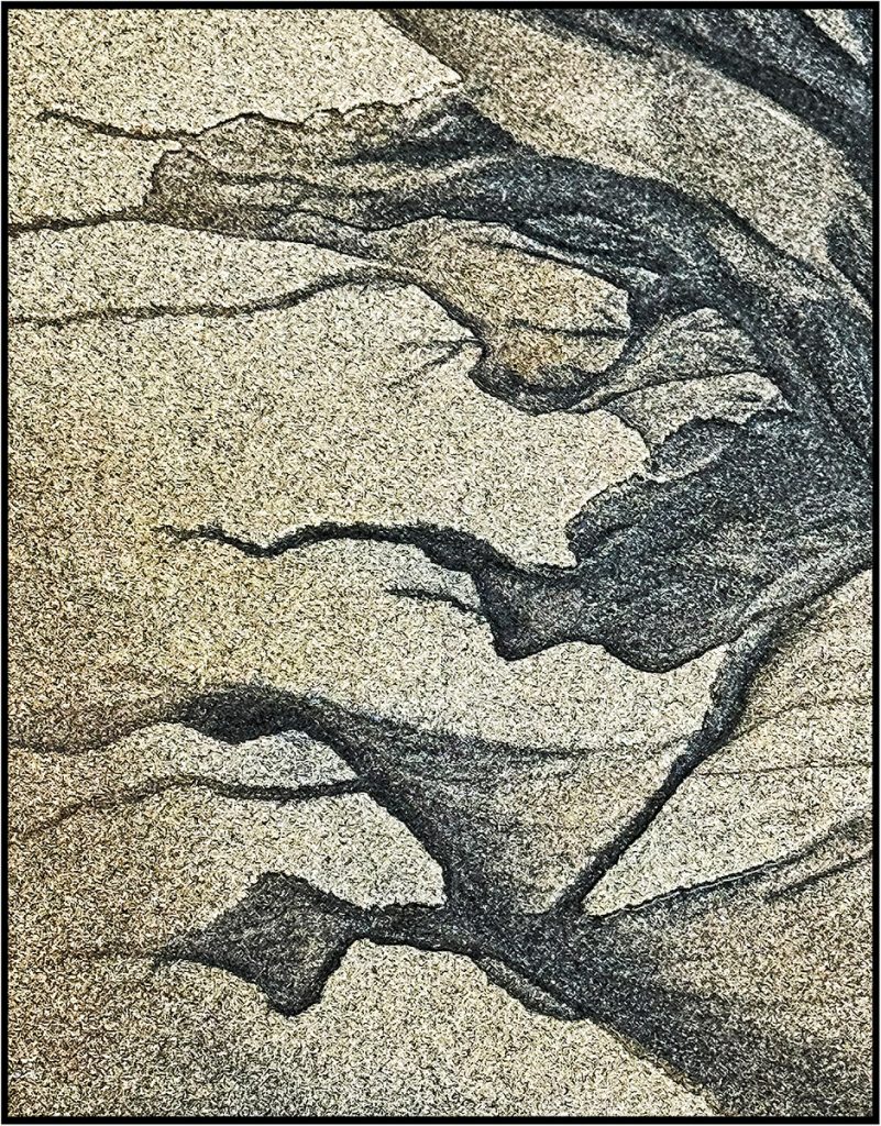 Wendy Collens - Patterns on the Sandy Shore